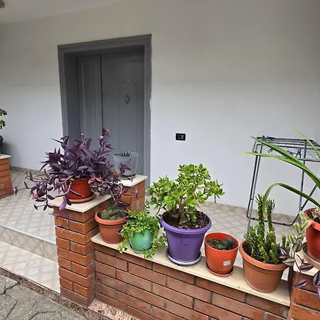 ヴィラ Eni's Villa, 5km From Shengjini Lezhë