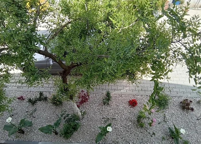 Eni's Villa, 5km From Shengjini 别墅 Lezhë